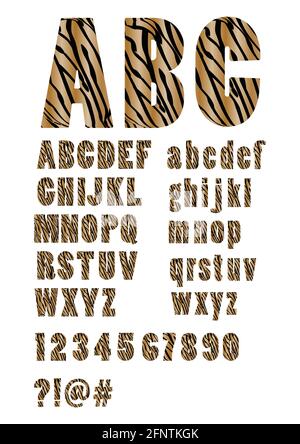 Alphabet im Stil Tiger Skin, Groß- und Kleinbuchstaben, Zahlen, Frage- und Ausrufezeichen, Zeichen an und Raute Stock Vektor