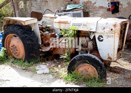 Der weiß-orange Farbe alten Traktor stehen in der Heimat Boden. Stockfoto