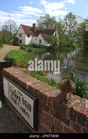 Willy Lotts Hütte in Flatford Mill in Suffolk mit Ente im Vordergrund. Das Häuschen erscheint in Constable's berühmtem Gemälde The Hay Wain. Stockfoto