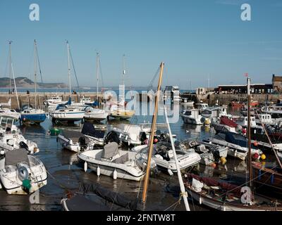 Boote, die in Lyme Regis Harbour, Lyme Regis, Dorset, Großbritannien, 2019 angedockt sind. Stockfoto