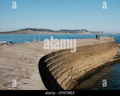 Blick auf den Cobb, berühmt gemacht durch Jane Austens Roman "Persuasion" und John Fowles "die französische Leutnant's Woman", Lyme Regis, Dorset, United K Stockfoto