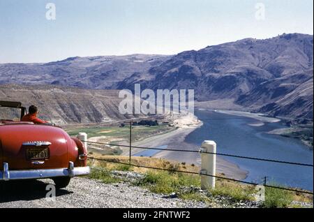 Junger Mann, der in einem roten Plymouth-Cabriolet aus dem Jahr 1952 sitzt und in den 1950er Jahren von oben nach unten fährt. Das Auto wird an einem sonnigen Tag am Straßenrand mit Blick auf den Columbia River, Bundesstaat Washington, USA, geparkt Stockfoto