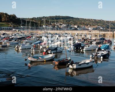 Boote, die in Lyme Regis Harbour, Lyme Regis, Dorset, Großbritannien, 2019 angedockt sind. Stockfoto