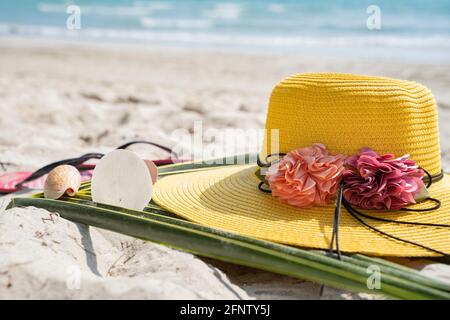 Sommerkomposition, Sonnenhut, Muschel. Stockfoto