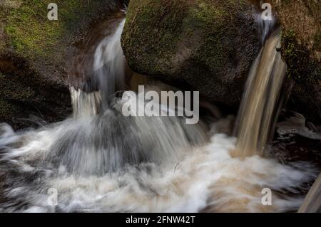 Naturschutzgebiet Wyming Brook, Nationalpark Peak District, Sheffield, South Yorkshire, England, Großbritannien Stockfoto