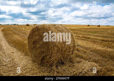 Strohballen auf geerntetem Feld. Sommerzeit. Himmel mit Cluods Hintergrund. Stockfoto