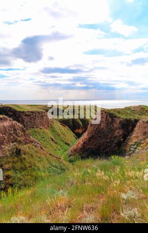 Grünes Gras, Rasenflächen an den Hängen der Berge in der Nähe des Meeres gegen den blauen Himmel gewachsen. Hügel der Berge und Hänge des Kaps sind mit halb Gras und überwuchert Stockfoto