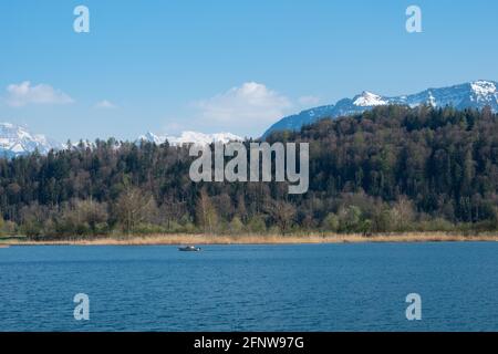 Blick über das tiefblaue Wasser des Zürichsees, Schweiz, in Richtung Wald Stockfoto