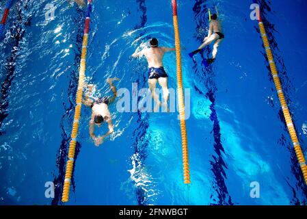 Schwimmbad, Sportler trainieren im Sportschwimmen. Stockfoto