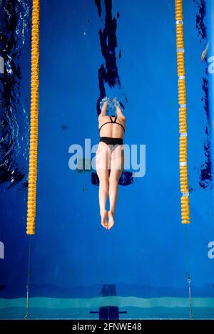 Männlicher professioneller Schwimmer im Schwimmbad Stockfoto