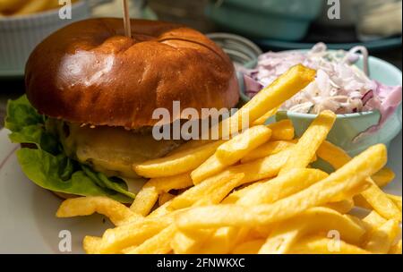 Ein selektiver Blick auf einen köstlich hausgemachten Cheeseburger mit Pommes Frites und cole Slaw Stockfoto