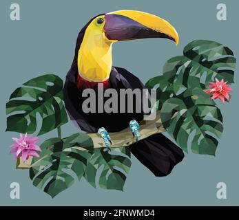 Polygonale Illustration Tukan-Vogel und Amazonas-Waldpflanzen. Stock Vektor