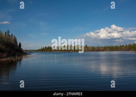 Astotin Lake in Spring, Elk Island National Park, Alberta, Kanada Stockfoto