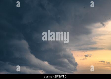 Vögel fliegen neben einer riesigen Sturmwolke Stockfoto