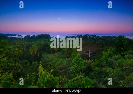 Panamalandschaft mit Regenwald, Mond und farbenfrohem Himmel bei Sonnenaufgang im Naturschutzgebiet Punta Patino, Pazifikküste, Provinz Darien, Republik Panama. Stockfoto