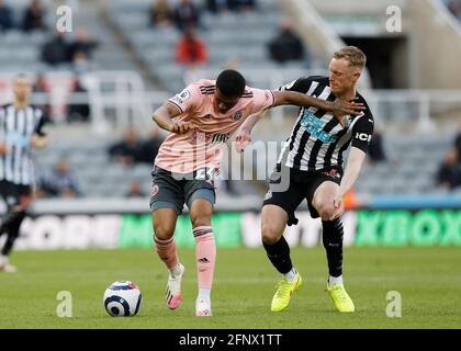 Newcastle, England, 19. Mai 2021. Rhian Brewster aus Sheffield Utd wurde während des Premier League-Spiels im St. James's Park, Newcastle, von Sean Longstaff aus Newcastle United herausgefordert. Bildnachweis sollte lauten: Darren Staples / Sportimage Credit: Sportimage/Alamy Live News Stockfoto