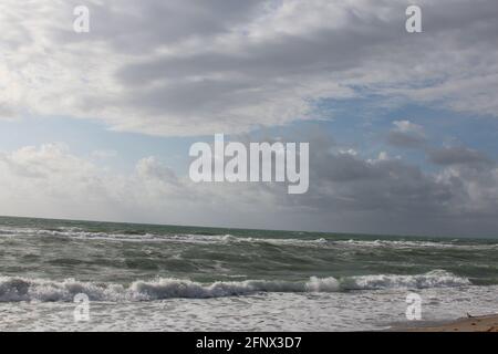 Seegras am Strand Stockfoto