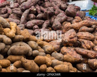 Verschiedene Kartoffelsorten auf dem Belén-Markt, Iquitos-Stadt am Ufer des Amazonas, Tor zum Regenwald, Amazonien, Lore Stockfoto