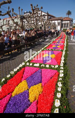 Blumenteppiche aus künstlich gefärbten Holzschnitzelholz. Ponta Delgada, Sao Miguel, Azoren, Portugal Stockfoto