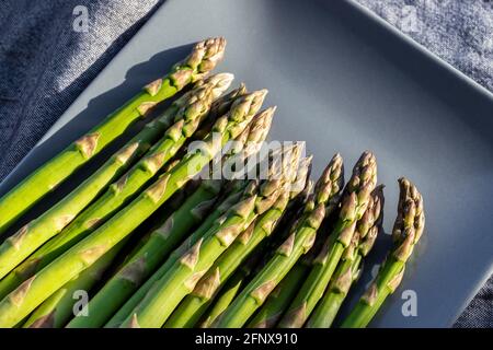 Nahaufnahme Detail Bund von frischen rohen grünen Spargelpflanze zur Saison auf blauen Cerami-Platte Küche Hintergrund geerntet. Gesunder vegetarischer Gourmet Stockfoto