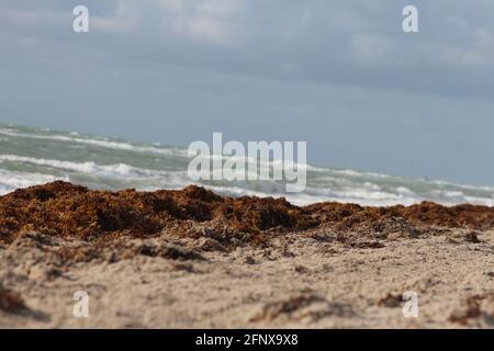 Niedrige Wellen am Strand Stockfoto