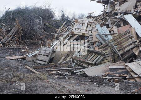 Abfalldeponie für Holzbearbeitung. Berge von Sägemehl, Ästen und Bäumen. Konzept für die Umweltsicherheit. Stockfoto