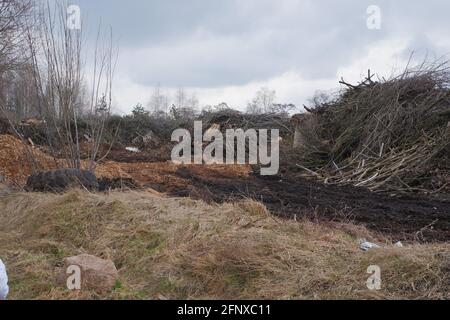 Abfalldeponie für Holzbearbeitung. Berge von Sägemehl, Ästen und Bäumen. Konzept für die Umweltsicherheit. Stockfoto