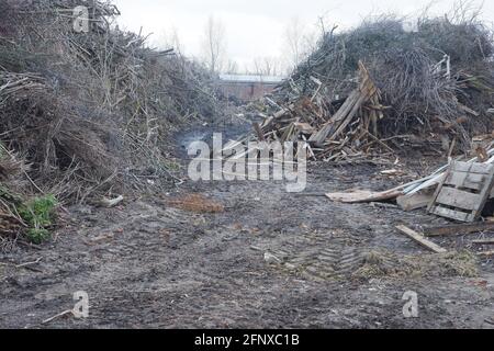 Abfalldeponie für Holzbearbeitung. Berge von Sägemehl, Ästen und Bäumen. Konzept für die Umweltsicherheit. Stockfoto