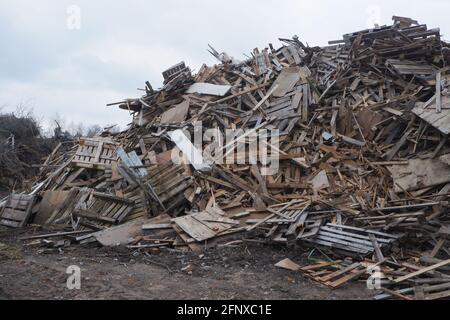 Abfalldeponie für Holzbearbeitung. Berge von Sägemehl, Ästen und Bäumen. Konzept für die Umweltsicherheit. Stockfoto