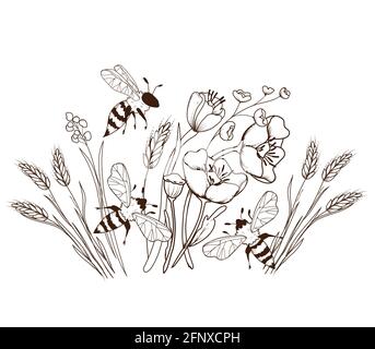 Gravur handgezeichnetes Bild von Honigbienen, die über Wildblumen fliegen, Vektorgrafik isoliert auf weißem Hintergrund. Kreative Dekoration mit Bienen und Stock Vektor