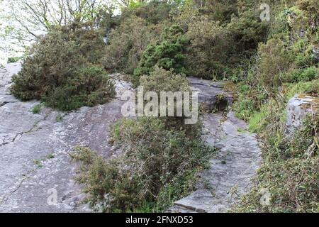 Spazieren Sie durch die atemberaubende Natur der Region North Devon Stockfoto