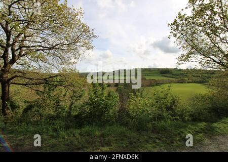 Spazieren Sie durch die atemberaubende Natur der Region North Devon Stockfoto