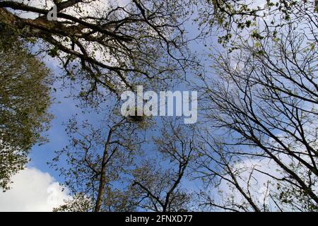 Spazieren Sie durch die atemberaubende Natur der Region North Devon Stockfoto