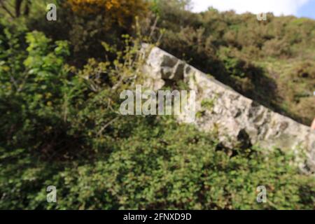 Spazieren Sie durch die atemberaubende Natur der Region North Devon Stockfoto
