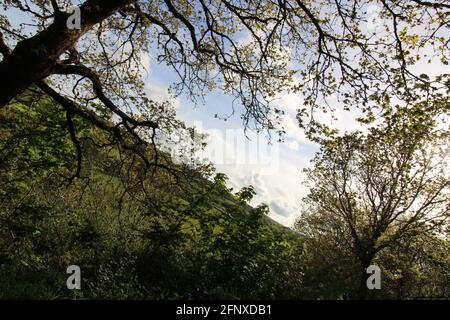 Spazieren Sie durch die atemberaubende Natur der Region North Devon Stockfoto