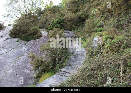 Spazieren Sie durch die atemberaubende Natur der Region North Devon Stockfoto