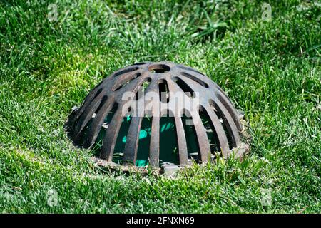 Auffangbecken Atrium Drainage Rost über Sturmwasserablauf umgeben von grünem Gras. Stockfoto