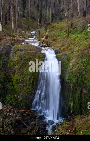 Upper McCord Creek Falls, Columbia River Gorge National Scenic Area, Oregon. Fotografiert im April 2021 und zeigt Bäume, die vom Eagle Creek verbrannt wurden Stockfoto