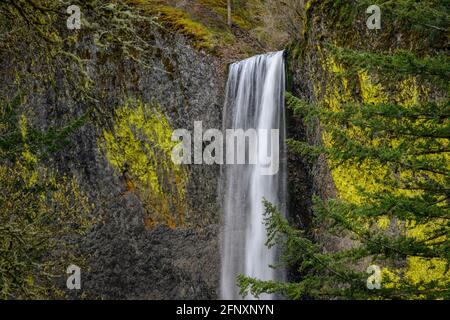 Latourell Falls im Guy Talbot State Park, Columbia River Gorge National Scenic Area, Oregon. Stockfoto