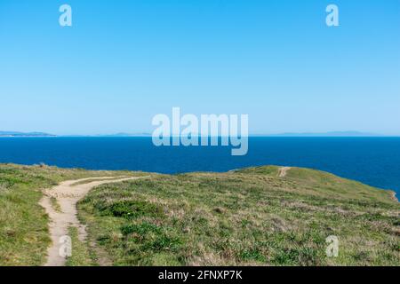 Unbefestigter Wanderweg auf Point Reyes Headlands in Richtung Chimney Rock Mit wintergrünem Gras, das Klippen und Steilküsten am Punkt bedeckt Reyes National Seashore Stockfoto