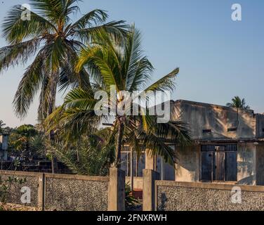 Verwahrloste Wohnung, die während des Bürgerkrieges Schaden erlitten hat, Jaffna, Nordprovinz, Sri Lanka Stockfoto