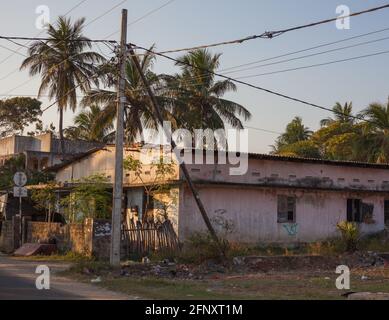 Verwahrloste Wohnung, die während des Bürgerkrieges Schaden erlitten hat, Jaffna, Nordprovinz, Sri Lanka Stockfoto