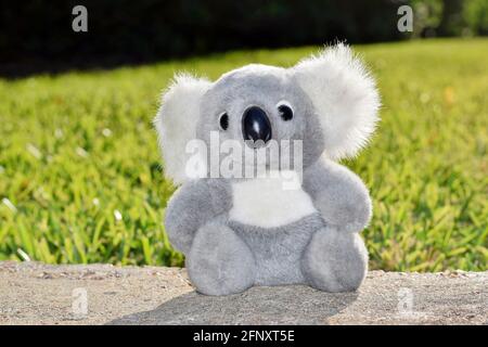 Plüsch Koala Teddybär Spielzeug, im Freien isoliert auf flacher Oberfläche mit grünem Gras Hintergrund. Stockfoto