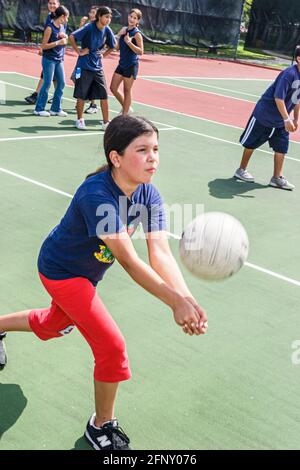 Miami Florida, Hadley Park Dade County Parks Sommercamp, Hispanic Mädchen Volleyball Spiel üben Empfang Volleyball Student, konzentriert Stockfoto