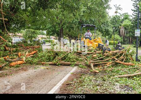 Miami Florida, Coral Gables Hurrikan Katrina Schaden, Stadtarbeiter entfernen umherstürzte Bäume Baggerlader, Stockfoto