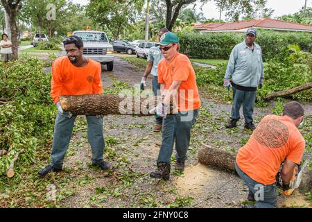 Miami Florida, Coral Gables Hurrikan Katrina Damage, Stadtarbeiter sägen gefallene Bäume, tragbare Säge, schwarze hispanische Männer, Stockfoto