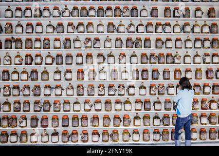 Miami Florida, Wynwood Arts & Design District, Galerie Margulies Collection Warehouse für zeitgenössische Kunst Flaschen Regale, Stockfoto