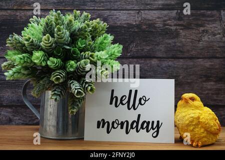 Hello Monday Card mit blühender Blume auf Holzhintergrund Stockfoto
