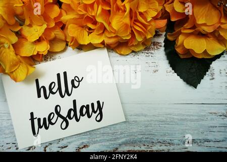 Hello Tuesday Karte mit blühender Blume auf Holzhintergrund Stockfoto