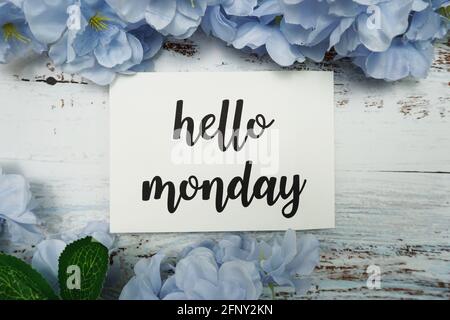 Hello Monday Card mit blühender Blume auf Holzhintergrund Stockfoto